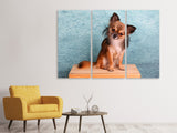Leinwandbild 3-teilig Typisch Chihuahua