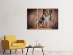 Leinwandbild 3-teilig Chihuahua Portrait