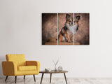 Leinwandbild 3-teilig Chihuahua Portrait