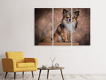 Leinwandbild 3-teilig Chihuahua Portrait