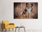 Leinwandbild 3-teilig Chihuahua Portrait
