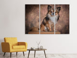 Leinwandbild 3-teilig Chihuahua Portrait