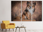 Leinwandbild 3-teilig Chihuahua Portrait