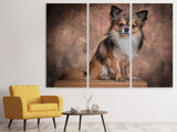 Leinwandbild 3-teilig Chihuahua Portrait