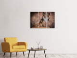 Leinwandbild 3-teilig Chihuahua Portrait