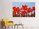 Leinwandbild 3-teilig Rote Tulpen XL