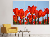 Leinwandbild 3-teilig Rote Tulpen XL