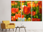 Leinwandbild 3-teilig Close up Tulpenfeld