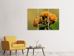 Leinwandbild 3-teilig Die Rosen in der Natur
