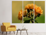 Leinwandbild 3-teilig Die Rosen in der Natur