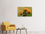 Leinwandbild 3-teilig Die Rosen in der Natur