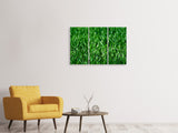 Leinwandbild 3-teilig Die Wiese in XL
