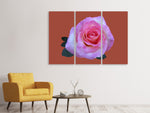 Leinwandbild 3-teilig Rose in pink XXL