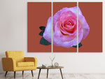 Leinwandbild 3-teilig Rose in pink XXL