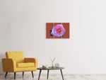 Leinwandbild 3-teilig Rose in pink XXL