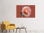 Leinwandbild 3-teilig Rose in rosa XXL