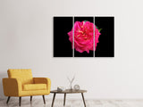 Leinwandbild 3-teilig Rose in rot XXL