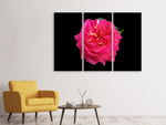 Leinwandbild 3-teilig Rose in rot XXL