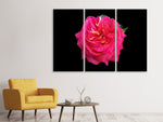 Leinwandbild 3-teilig Rose in rot XXL