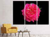 Leinwandbild 3-teilig Rose in rot XXL