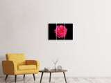 Leinwandbild 3-teilig Rose in rot XXL