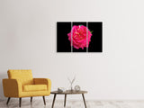 Leinwandbild 3-teilig Rose in rot XXL