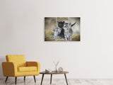 Leinwandbild 3-teilig Kitten Trio