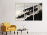 Leinwandbild 3-teilig Nebel in den Wälder