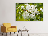 Leinwandbild 3-teilig Weisse Blüten in XL