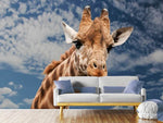 Fototapete Achtung Giraffe!