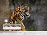 Fototapete Achtung Tiger