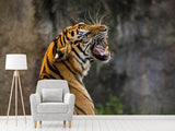 Fototapete Achtung Tiger