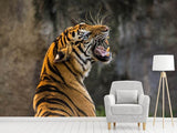 Fototapete Achtung Tiger