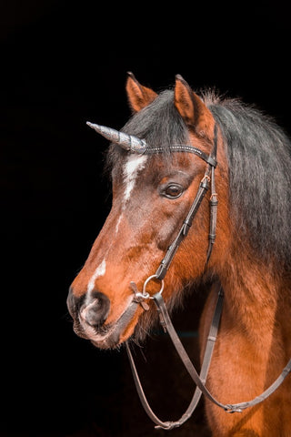 Fototapete Das letzte Einhorn