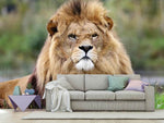 Fototapete Der König der Tiere
