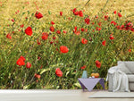 Fototapete Der Mohn im Wind