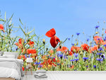 Fototapete Der Mohn in der Blumenwiese