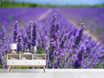 Fototapete Die Lavendelblüten