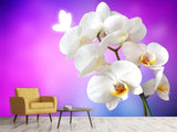 Fototapete Flower Power Orchidee