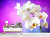 Fototapete Flower Power Orchidee