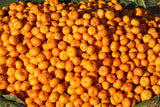 Fototapete Frische Mandarinen