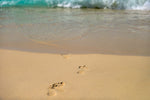 Fototapete Fußspuren ins Meer