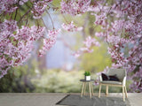 Fototapete Im schönen Frühling