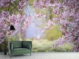 Fototapete Im schönen Frühling