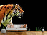 Fototapete Imposanter Tiger