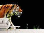 Fototapete Imposanter Tiger