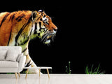 Fototapete Imposanter Tiger