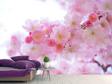 Fototapete Japanische Kirschblüte XL