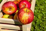Fototapete Kiste mit Äpfeln