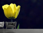 Fototapete Leuchtende Tulpe